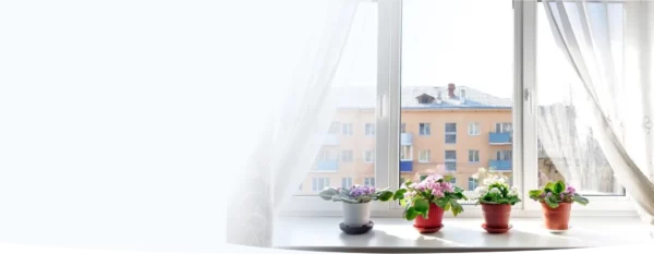 Окна из профиля VEKA 58 мм в Санкт-Петербурге